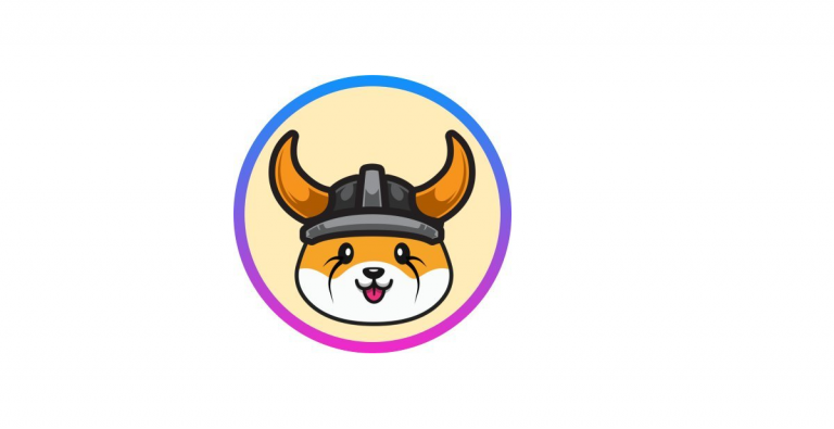 Floki – the most common questions