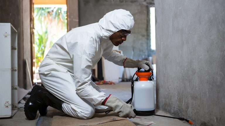 Integrated Safe Pest Control Strategies in Sydney’s Urban Environments