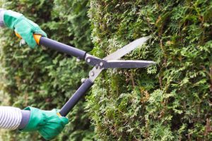 Top 5 Benefits of Hiring a Skilled Gardener for Your Home
