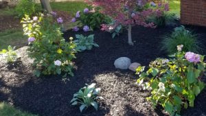 Effective Strategies for Installing Mulch for Your Landscape