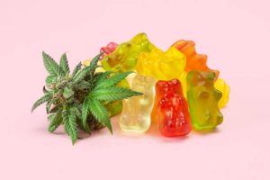 How to Choose the Right THC Gummies for Your Needs?