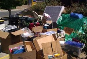Quick and Reliable Household Junk Removal Services in Lake Stevens